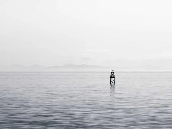 Scaling ML Infrastructure: Best Practices for Production